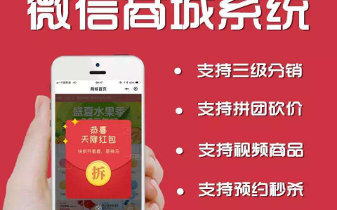 谈谈微信商城开发技术流程对微商竞争力的影响