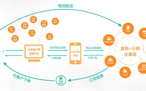 依托专业团队构建社交电商系统提升系统利用率