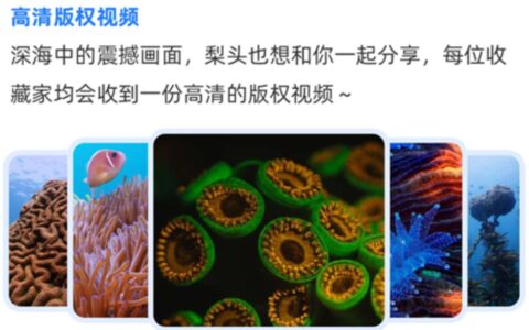 数字藏品的火爆，是虚幻的吗？市场遇冷，数字藏品该何去何从？