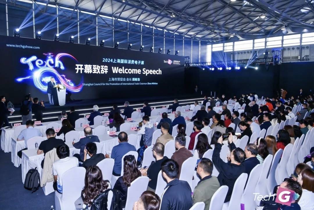 2025上海国际消费电子展览会（Tech G）