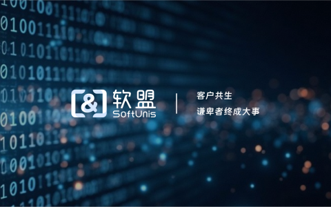 软盟是干什么的公司？
