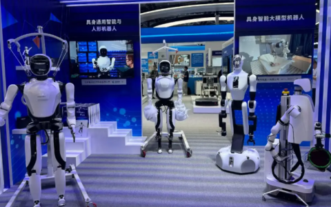 全球人形机器人技术风向标|2025北京国际人形机器人展览会