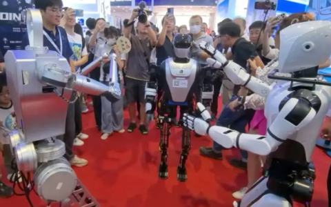 产业链协同创新，破解行业痛点“2025上海人形机器人展”