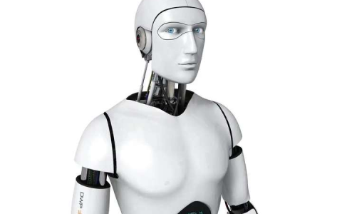 2025广州国际人形机器人展览会