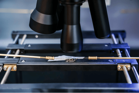 第106届中国电子展：创新强基·智造升级，引领国产替代新浪潮