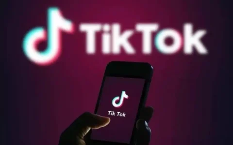 黑五狂欢下的生死时速：TikTok Shop商家是爆单还是爆雷？