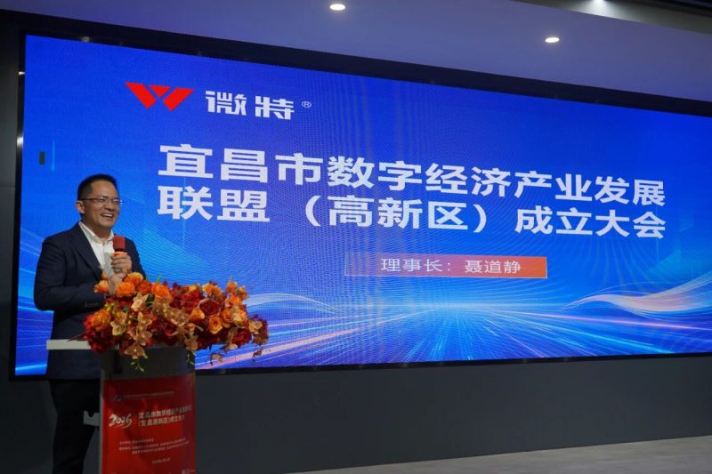 宜昌数字经济与人工智能产业园在微特智慧谷揭牌，打造区域AI生态新引擎