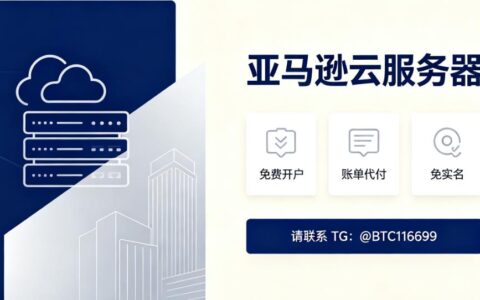 亚马逊云服务器AWS的计费模式?