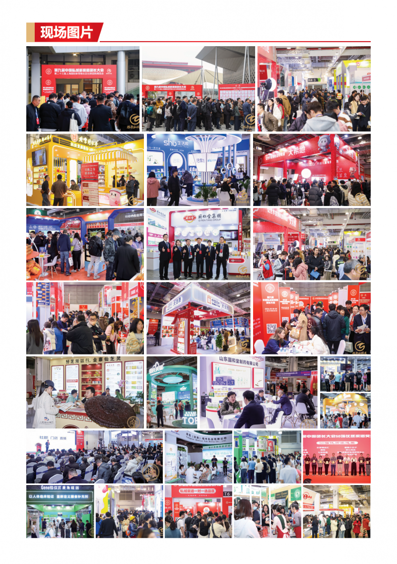 聚焦第十届中国私域新渠道团长大会