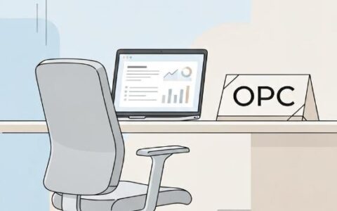 零成本验证创业想法：OPC一人公司模式如何让普通人用最低风险启动创业？