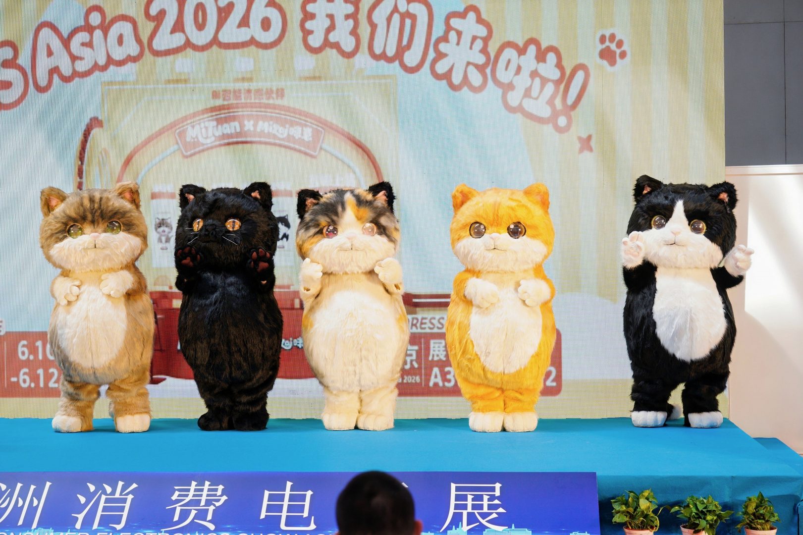 DSC01940-opq4693555548