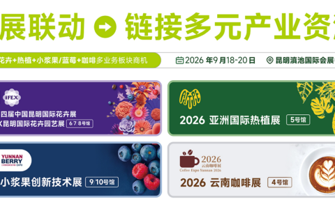 不止老茶底蕴，更有新饮潮流｜2026云南茶博会，解锁当代茶生活