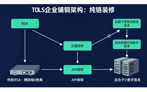 后量子密码迁移进入验证期：企业如何评估TLS证书链的性能与兼容性？