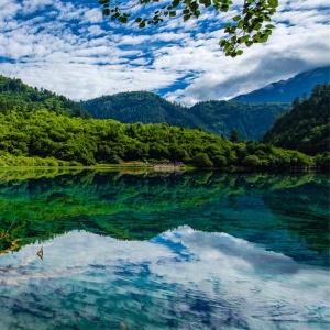 okSuice的头像